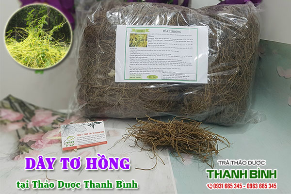 Dây tơ hồng Thảo Dược Thanh Bình