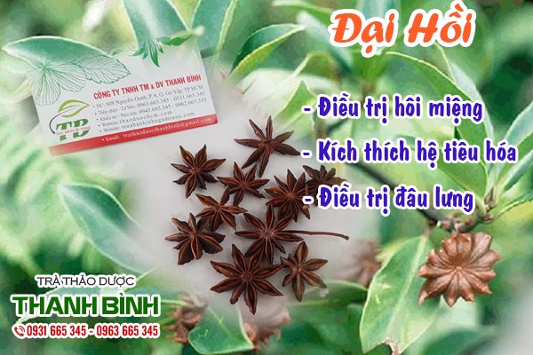 Đại hồi