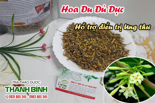 Hoa đu đủ đực