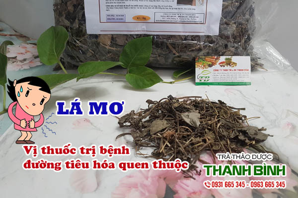 Lá mơ Thảo dược Thanh Bình