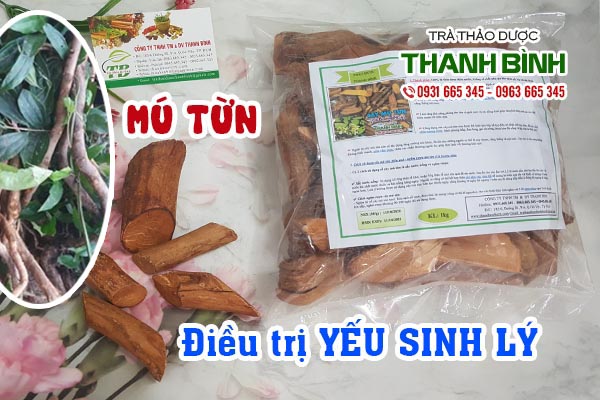Mú từn Thảo dược Thanh Bình