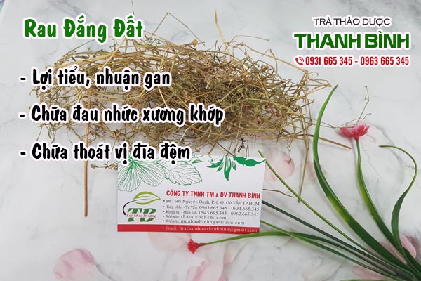 Rau đắng đất