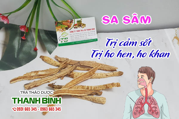 Sa sâm Thảo dược Thanh Bình