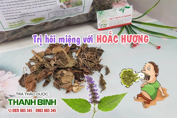 Hoắc hương Thảo dược Thanh Bình