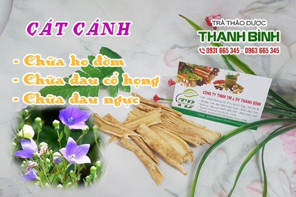 Cát cánh Thảo dược Thanh Bình