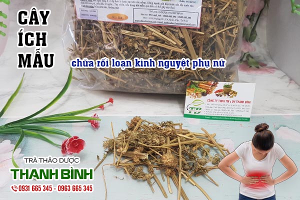 Cây ích mẫu Thảo dược Thanh Bình