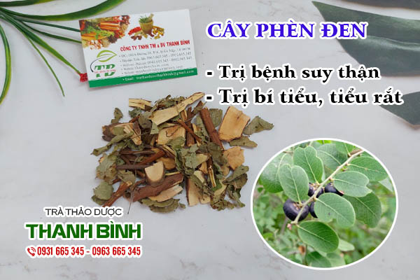 Cây phèn đen Thảo dược Thanh Bình