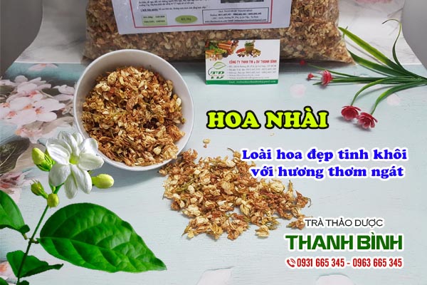 Hoa nhài Thảo dược Thanh Bình