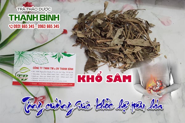 Khổ sâm Thảo dược Thanh Bình