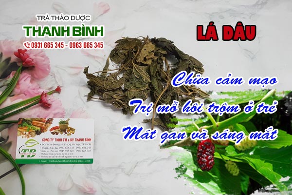 Lá dâu Thảo dược Thanh Bình