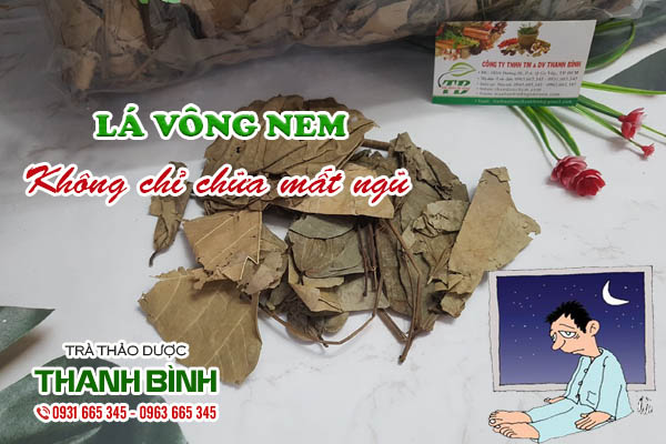 Lá vông nem Thảo dược Thanh Bình
