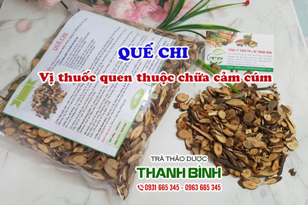 Quế chi Thảo dược Thanh Bình