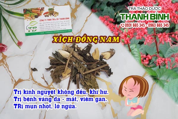 Xích đồng nam Thảo dược Thanh Bình