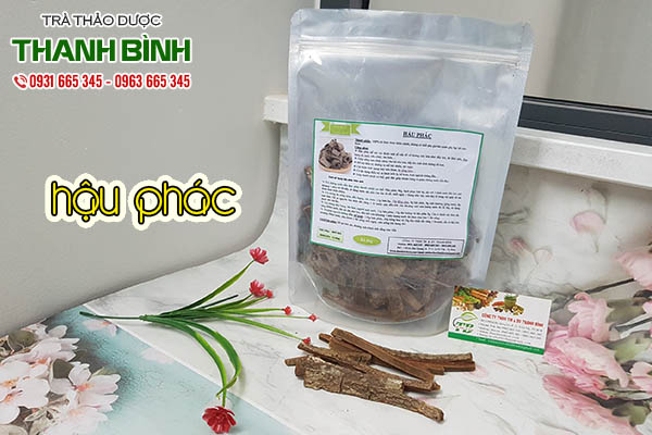 hậu phác thảo dược thanh bình