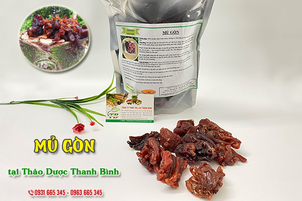 Mủ gòn Thảo Dược Thanh Bình