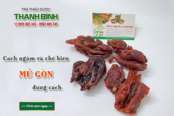 Mủ gòn Thảo Dược Thanh Bình