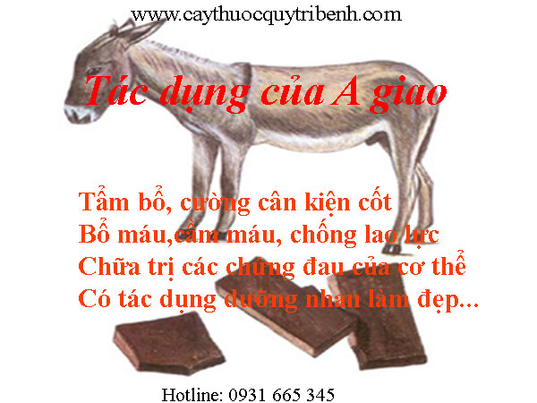 mua-a-giao-o-dau-tai-tp-hcm-uy-tin