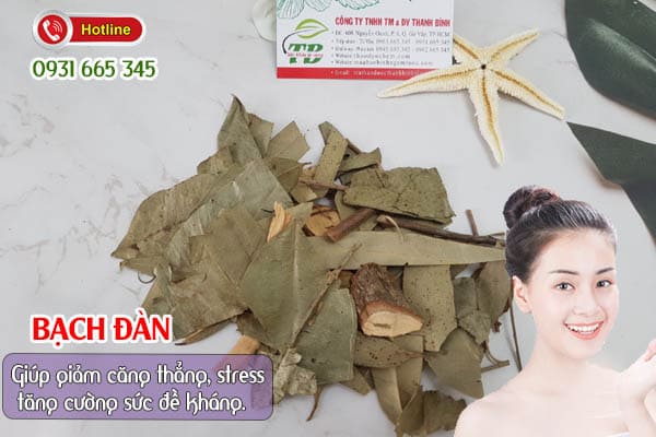 bạch đàn thảo dược thanh bình