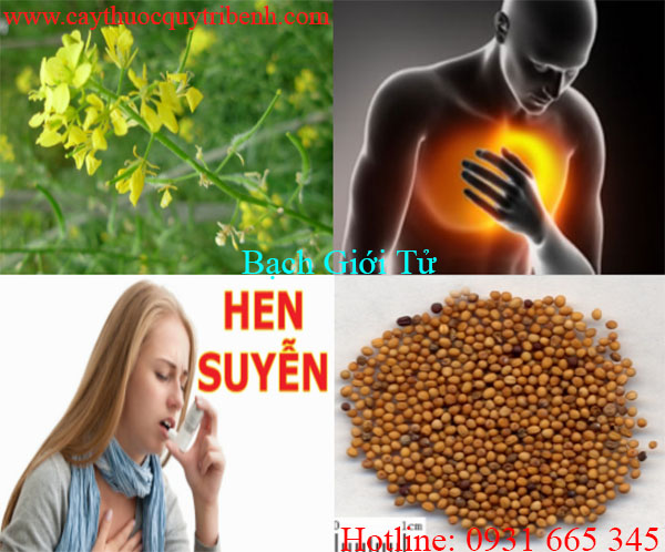 bạch giới tử