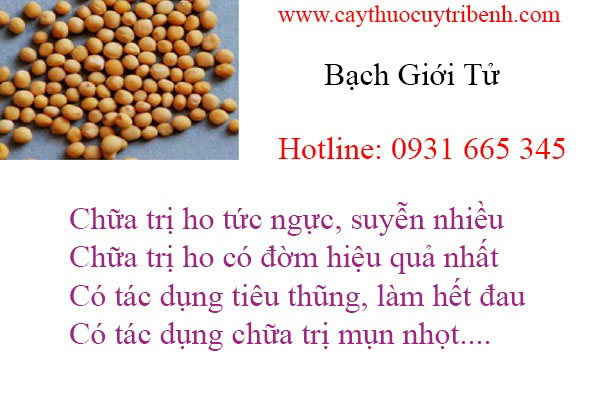 bạch giới tử