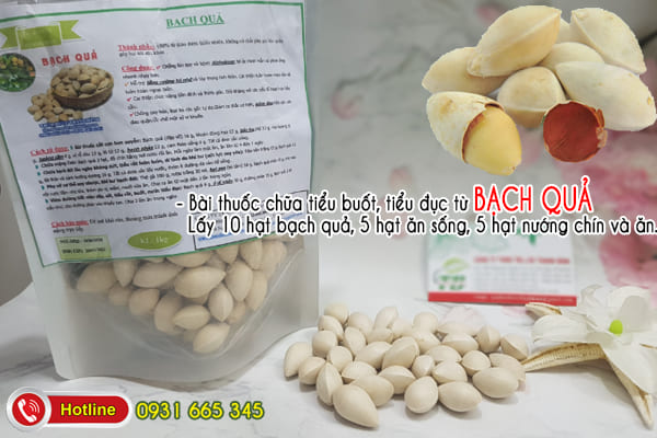 bạch quả Thảo Dược Thanh Bình