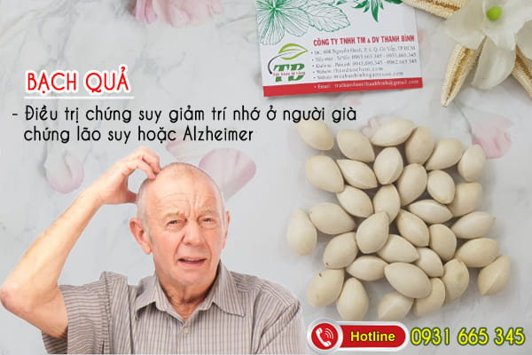 bạch quả Thảo Dược Thanh Bình