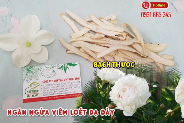 bạch thược Thảo Dược Thanh Bình