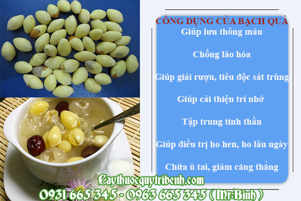 Bạch quả