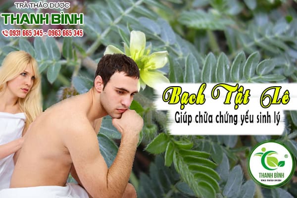 bạch tật lê thảo dược thanh bình