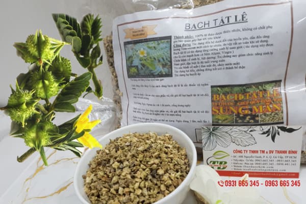 bạch tật lê thảo dược thanh bình