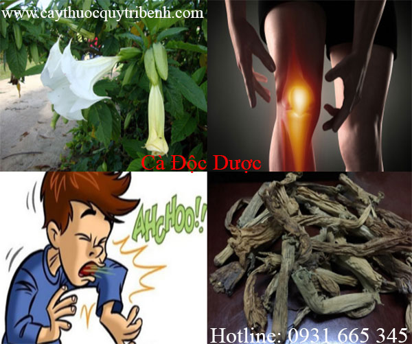 mua-ban-ca-doc-duoc-tai-tp-hcm-uy-tin
