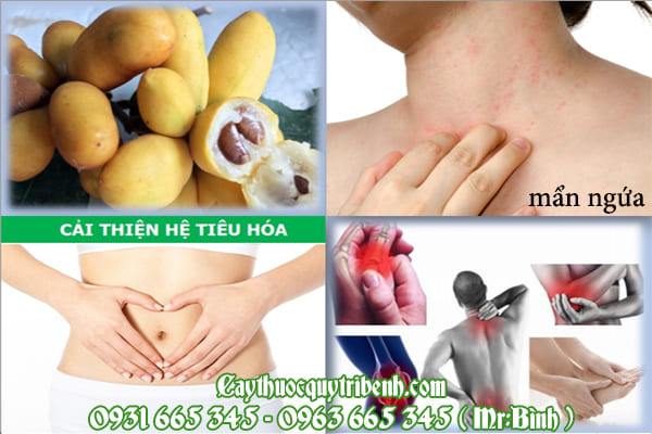 cây dũ dẻ