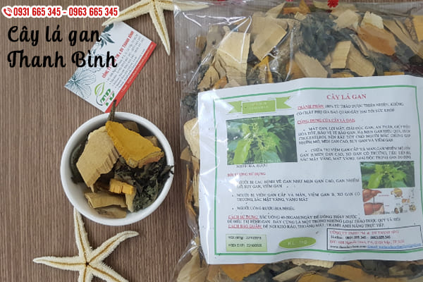 cây lá gan thảo dược thanh bình