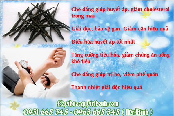 chè đắng