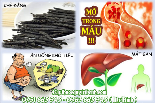 chè đắng