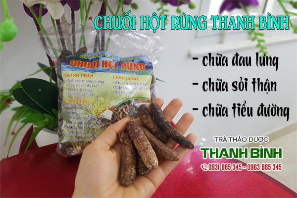 chuối hột rừng thanh bình