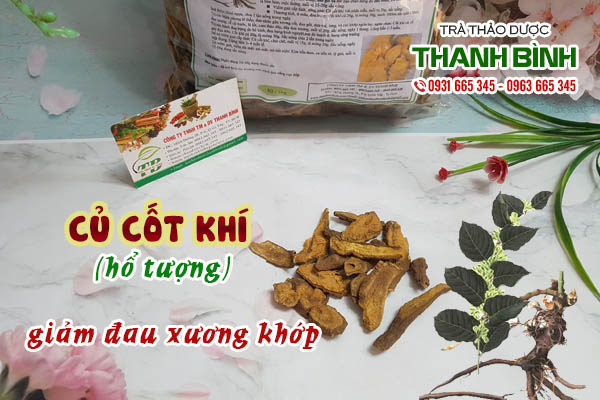 Củ cốt khí Thảo dược Thanh Bình