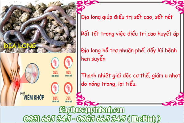 địa long