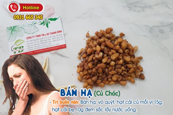 bán hạ (củ chóc) Thảo Dược Thanh Bình
