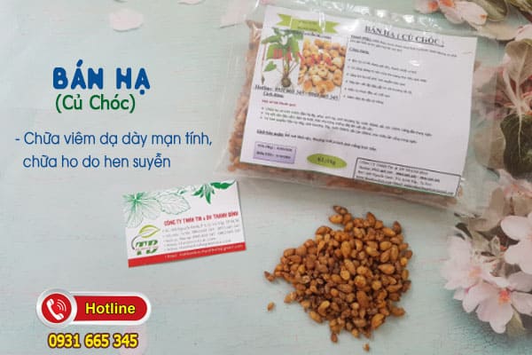 bán hạ (củ chóc) Thảo Dược Thanh Bình