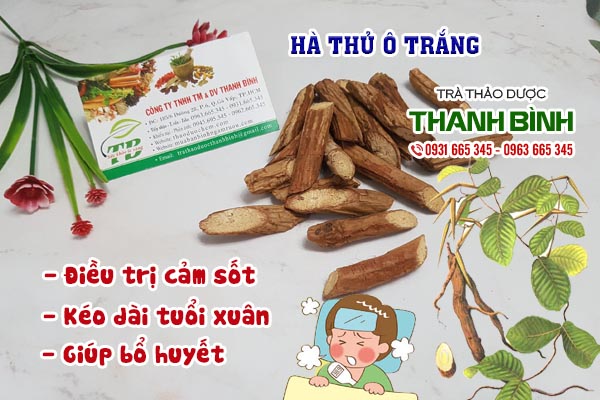 Hà thủ ô trắng Thảo dược Thanh Bình