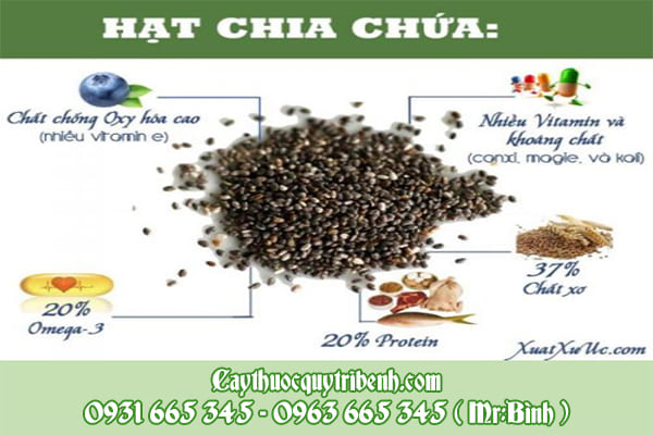 hạt chia