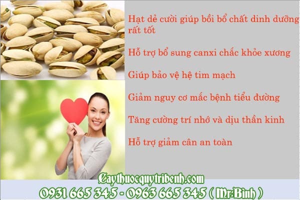 hạt dẻ cười