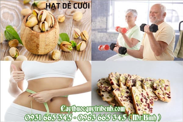 hạt dẻ cười