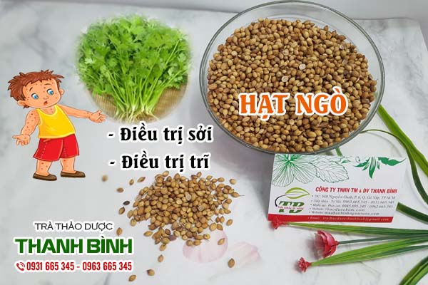 Hạt ngò Thảo dược Thanh Bình