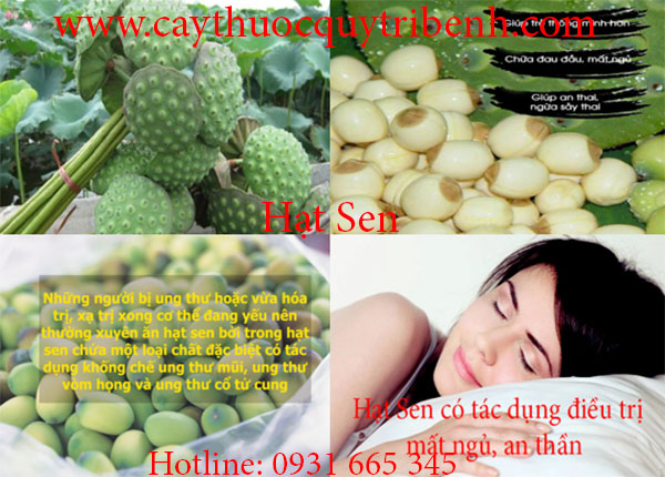hạt sen