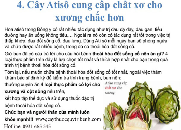 hoa atiso