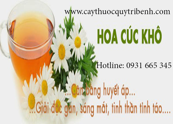 hoa cúc khô