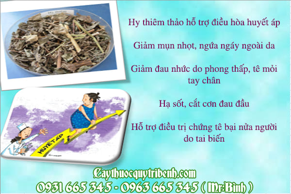 hy thiêm thảo