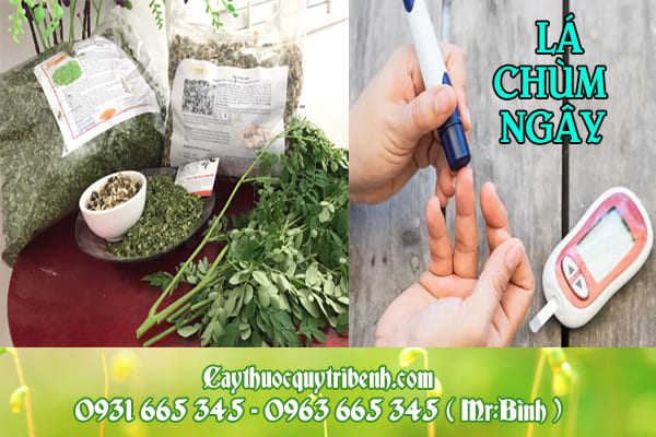 lá chùm ngây thanh bình